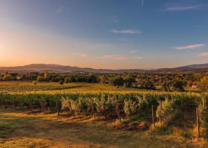 Palazzaccio 26, Emma Villa *